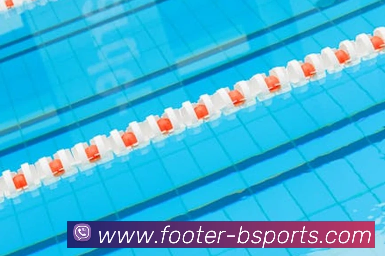 B体育APP 封面图